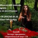 ������� ����. �������� ������. ������ �����.