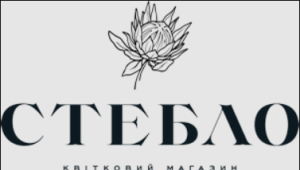 ������� ����, �������� ������� - ����������� 1