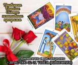 ������� ����. �������� ��������. ������ �����.