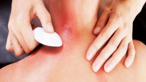 ������� ���� "���������� ���������� ������" - ����������� 1