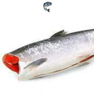 ������� ���� ������������ - ����������� 1