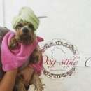 ������� � ����������: ������� ����� Dog-Style (200 ���) �����: 5� ������� � �������!!!