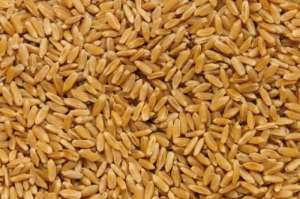 ������� ����� (FCA, FOB, CIF) - ����������� 1