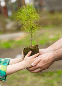 ������� ����� - ����������� 1