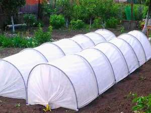 �������! �����! - ����������� 1