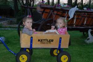 ������� ����� Kettler - ����������� 1