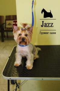 ������� ����� � ��. ����� ����� - ����������� 1