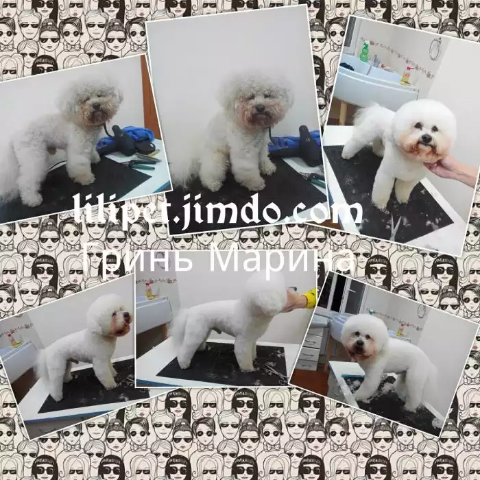 ������� ����� � ����� � ����� ��� �������!����������(����������)!! - ����������� 1