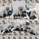 ������� � ����������: ������� ����� � ����� � ����� ��� �������!����������(����������)!!