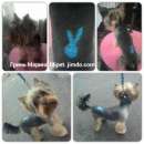 ������� ����� � ����� � ����� ��� �������!����������(����������)!! - ����������� 2