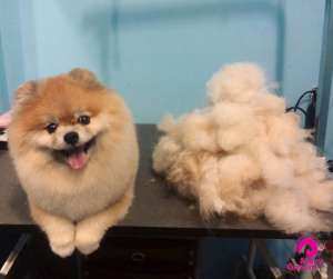 ������� ����� � ����� � ������ ��������� MaryGroom - ����������� 1