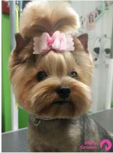 ������� ����� � ����� � ��������� MaryGroom - ����������� 1