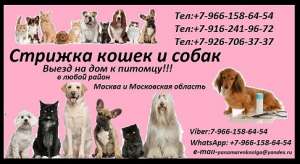 ������� ����� � ����� ����� �� ��� � ����� ����� ������ � ���������� ������� - ����������� 1