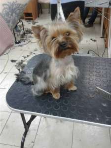 ������� ����� � ����� . �������� - ����������� 1