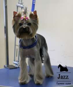 ������� ����� � ������. - ����������� 1