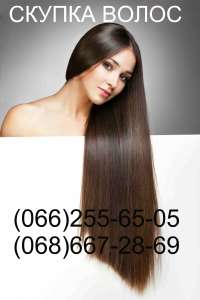 ������� ����� � ������ ������� ������ � ������ ������ - ����������� 1