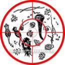 ������� ����� � ��������. ��� ������, ��� ����������?. ������ ������ - ������