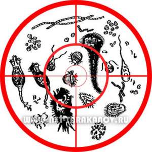 ������� ����� � ��������. ��� ������, ��� ����������? ������������. - ����������� 1