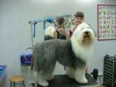 ������� ����� � �����(����, �������, ����, �����, ������) - ����������� 2