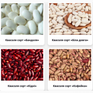 ������� ����� (�� 5 ����) � ��������� - ����������� 1