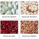 ������� � ����������: ������� ����� �� 5 ����. ������� �� ���������