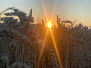 ������� ����� �� ������ - ����������� 1