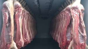 ������� ����� �� ������������� ������ - ����������� 1