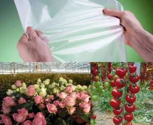 ������� ����� ��� �������Vatan Plastik (������). �������� �������� - ����������� 1