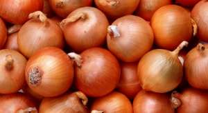 ������� ����� ��� �������� 11 ���/�� � ����������. - ����������� 1