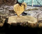 �������, �����, ���i���, ���������, ���������� ������� �����. ��������� ������. �����. - ����������� 3