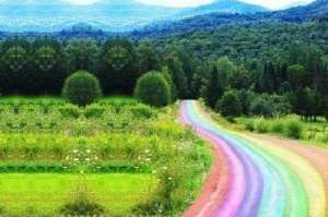 ������� ����� " ���� � ����� ����� ". � ������. - ����������� 1