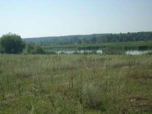 �������, �����, ����, ��� ������������� - ����������� 1