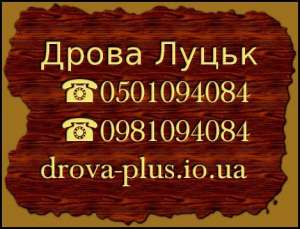 ������� ����� ���� ������ ����� - ����������� 1