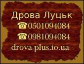 ������� � ����������: ������� ����� ���� ������ �����