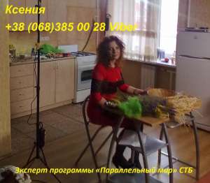 �������. ����� ����. ��������. ������ - ����������� 1