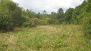 ������� ����� ����� �������� ������� - ����������� 1