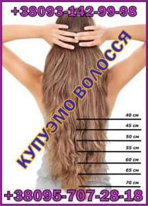 ������� ����� ������ � ������� ������ ������� � ������������ ������ ������ ������� - ����������� 1