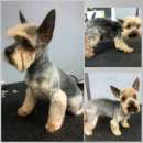 ������� ����� ������ �����