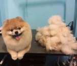 ������� ����� ������ ����� - ����������� 2