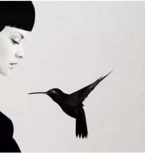 �������, ����� , ������� ���� - ����������� 1