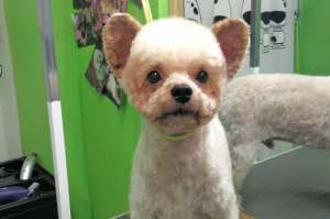 ������� �����. ������� ������������ ������� �� ������� - ����������� 1