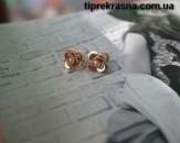 ������� � ����������: ������� ����� ��������� ������� - ���������