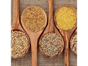 ������� ����� ���������, �������� � �������, ������ �����. - ����������� 1