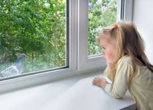 ������� ����� ���������� �� ���� Penkid. ���������� �������� ���� - ����������� 1