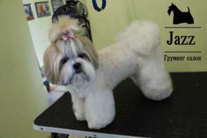 ������� ����� ���������� ������� - ����������� 1