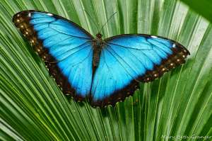 ������� ����� ����������� ������� ���������� ����� 30 ����� - ����������� 1