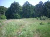 ������� � ����������: �������, �����, ������������, ��� ���������