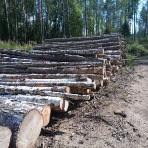 ������� ����� ������������ ���������30 - 35 ����������� - ����������� 1