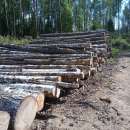 ������� � ����������: ������� ����� ������������ ���������30 - 35 �����������