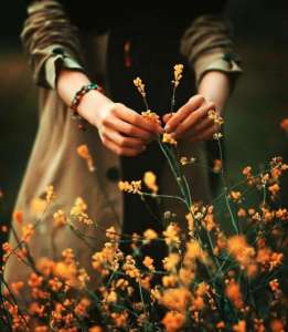 �������. ������ . - ����������� 1